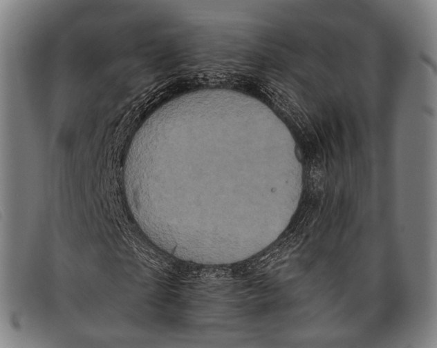 X0000097850865200804041504