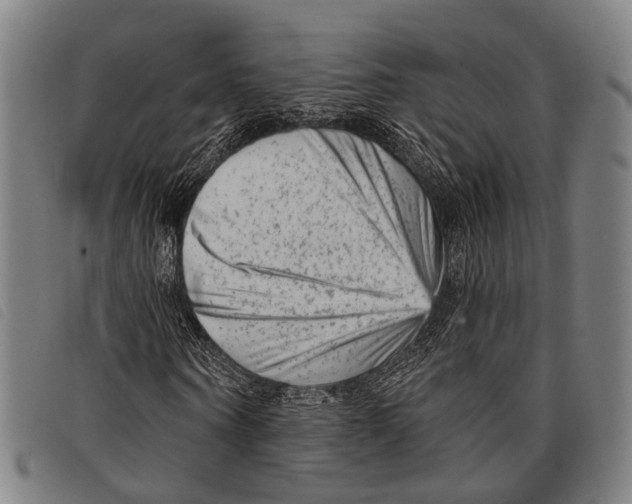 X0000097850866200804041504