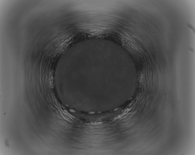 X0000097850868200804041504