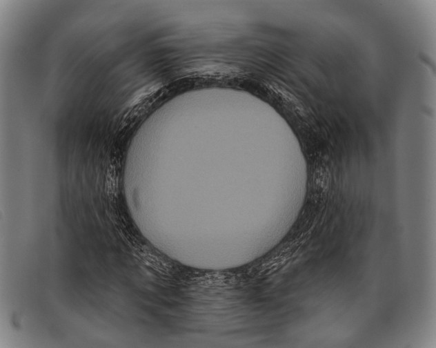 X0000097850869200804041504