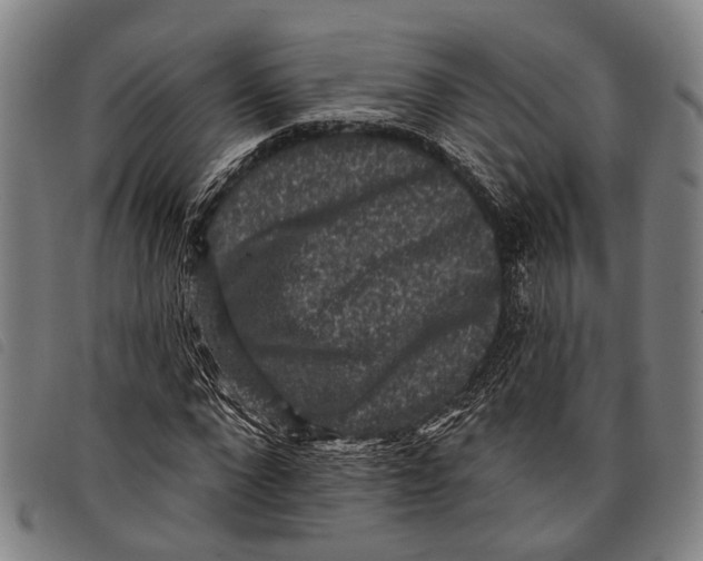 X0000097850872200804041504