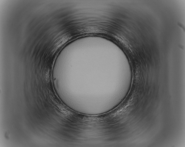 X0000097850873200804041504