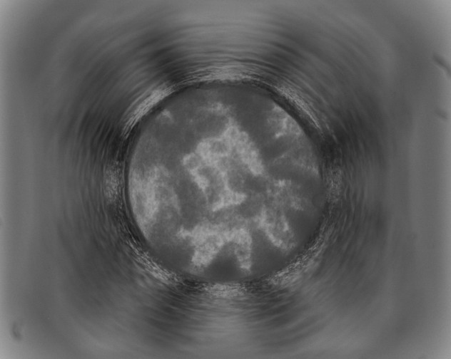 X0000097850874200804041504