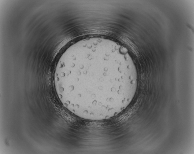 X0000097850875200804041504