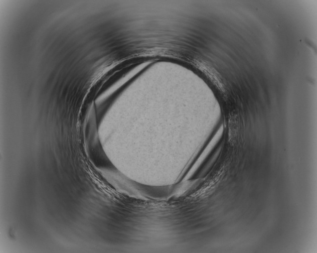 X0000097850876200804041504