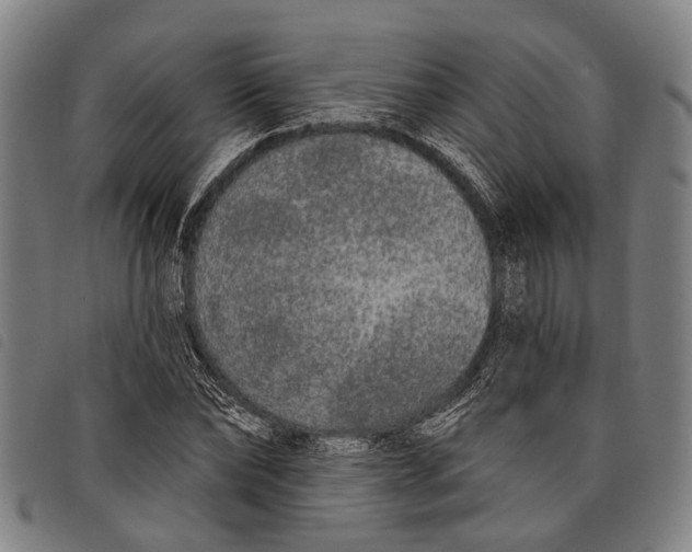 X0000097850878200804041504