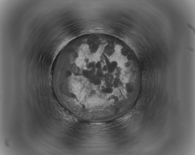 X0000097850879200804041504