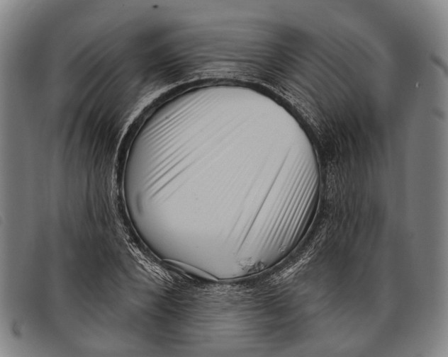 X0000097850880200804041504