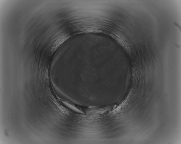 X0000097850881200804041504