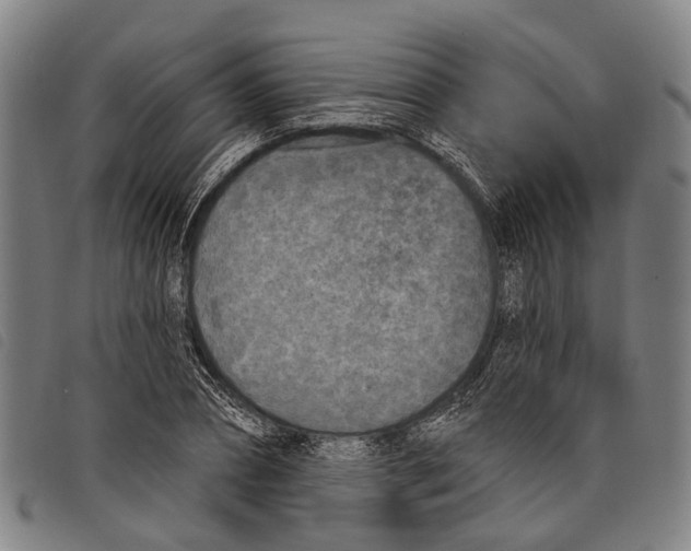 X0000097850882200804041504