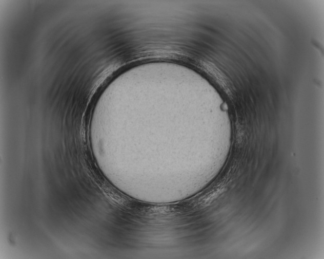 X0000097850883200804041503