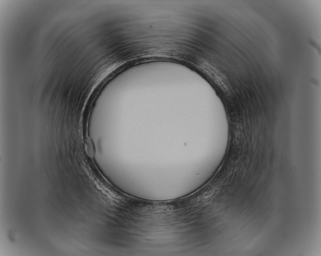 X0000097850884200804041503