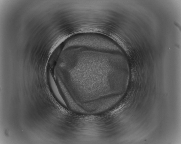 X0000097850885200804041503