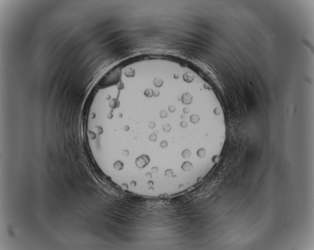 X0000097850887200804041503