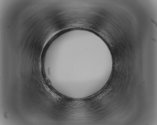 X0000097850888200804041503