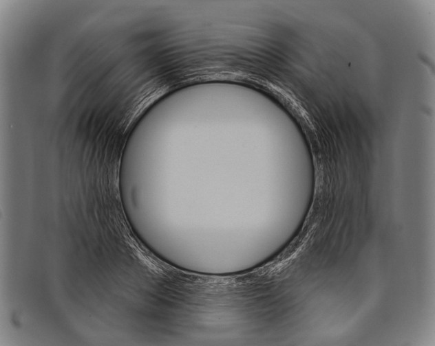 X0000097850889200804041503