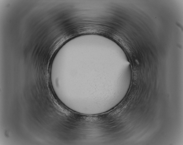 X0000097850890200804041503