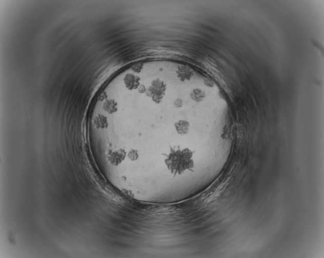 X0000097850891200804041503