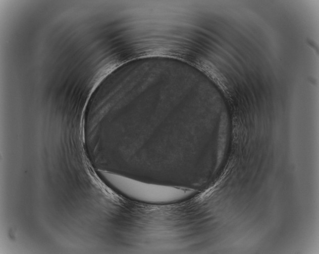 X0000097850892200804041503