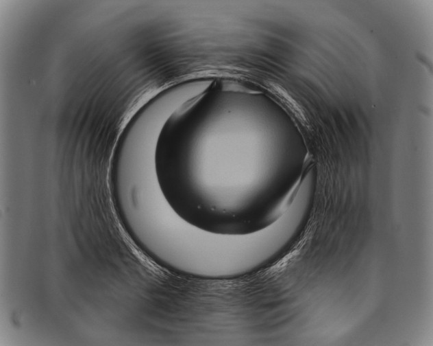 X0000097850893200804041503