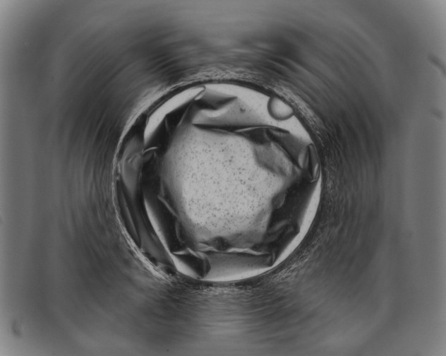 X0000097850894200804041503