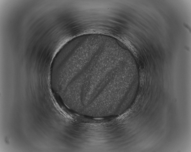 X0000097850896200804041503