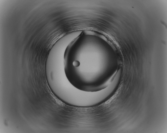 X0000097850897200804041503