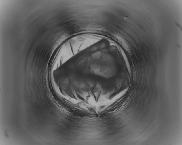 X0000097850899200804041503