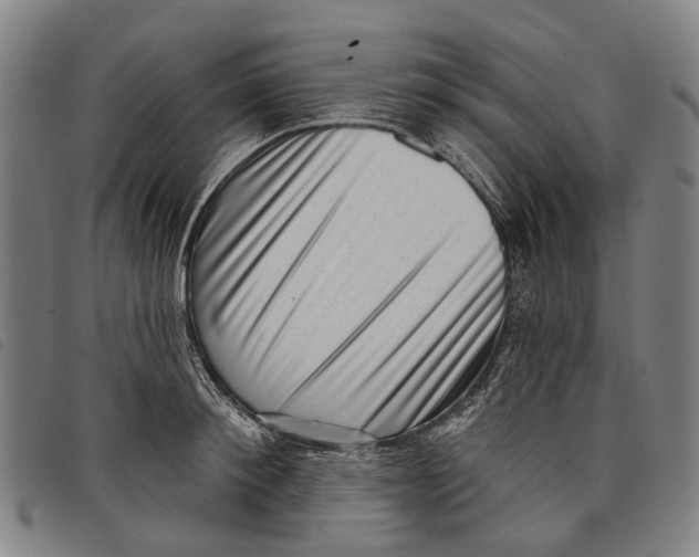 X0000097850900200804041503