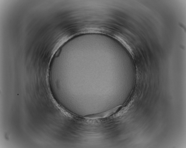 X0000097850901200804041503