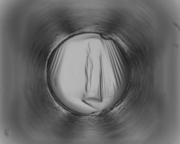 X0000097850902200804041503