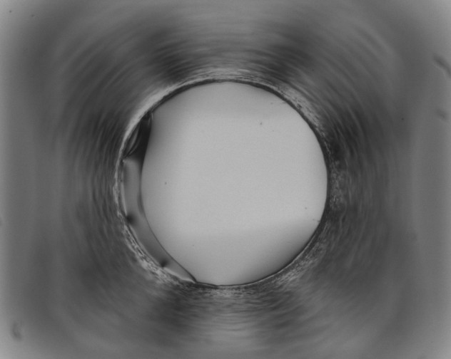 X0000097850904200804041503