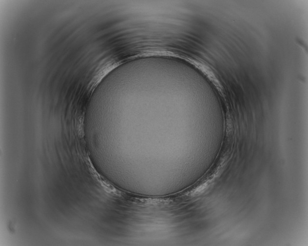 X0000097850905200804041503