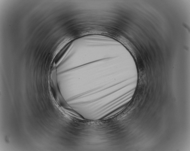 X0000097850906200804041503