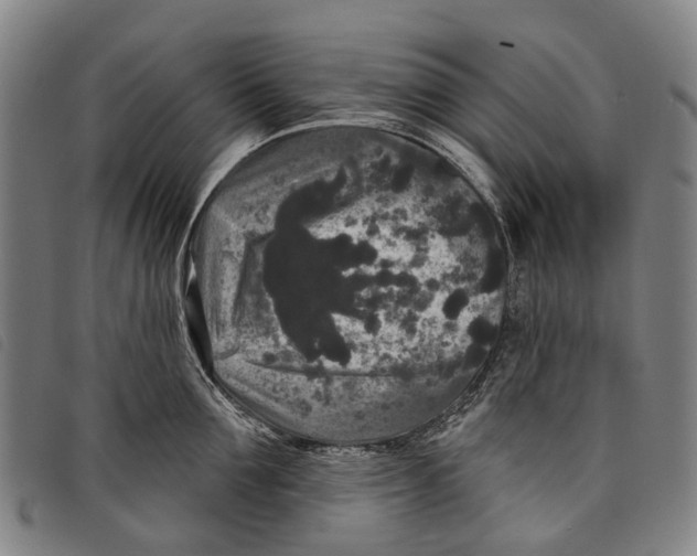 X0000097850907200804041503