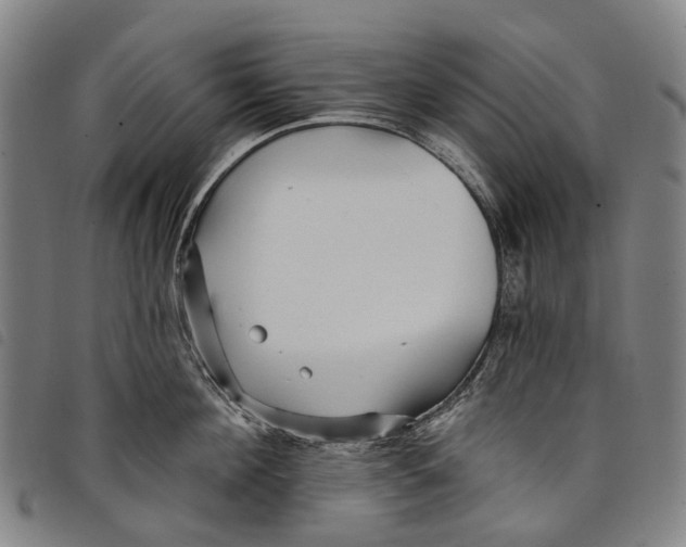 X0000097850908200804041503