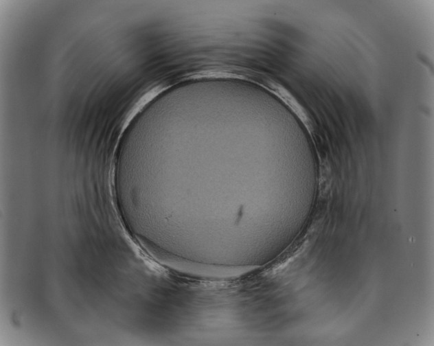 X0000097850909200804041503