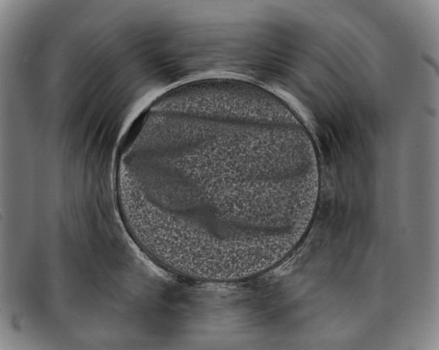 X0000097850910200804041503