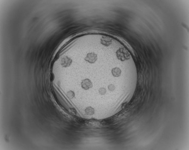 X0000097850911200804041503