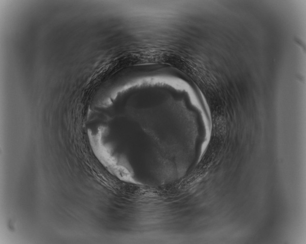 X0000097850913200804041502