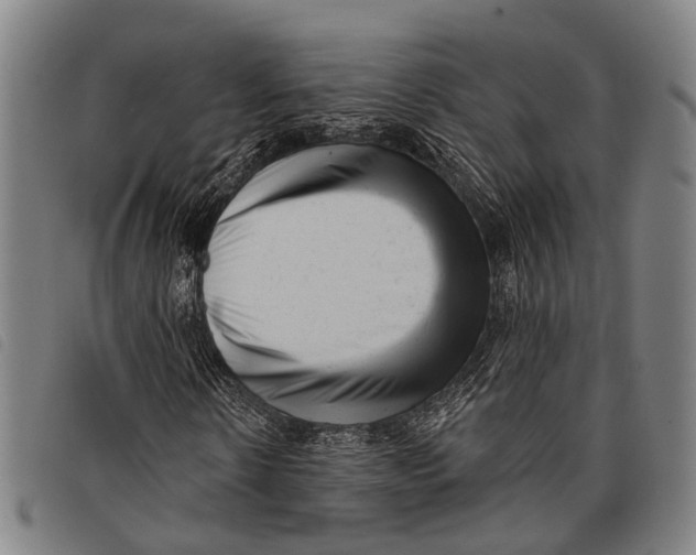 X0000097850914200804041502