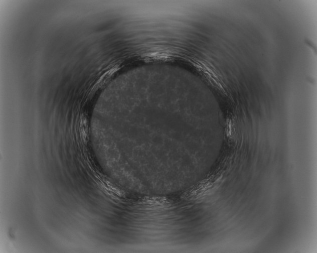 X0000097850915200804041502