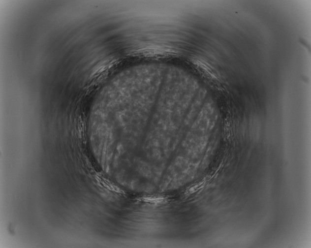 X0000097850917200804041502