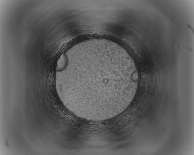 X0000097850918200804041503