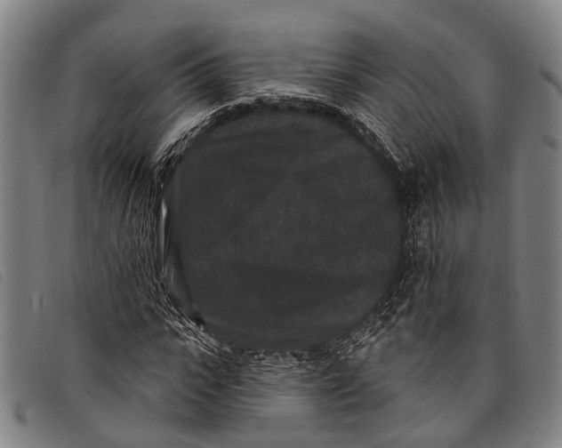 X0000097850919200804041503