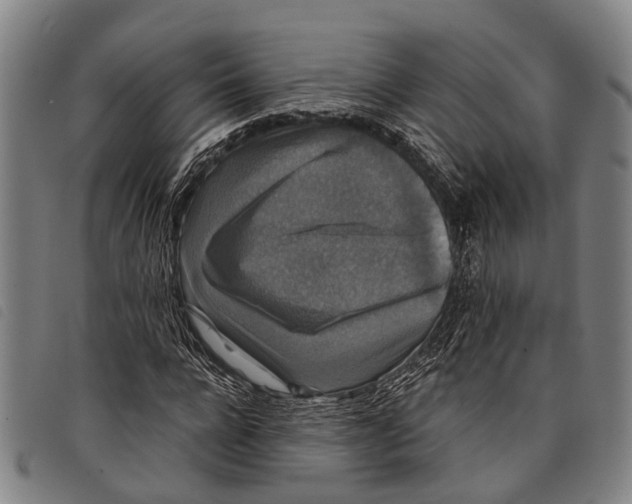 X0000097850920200804041503