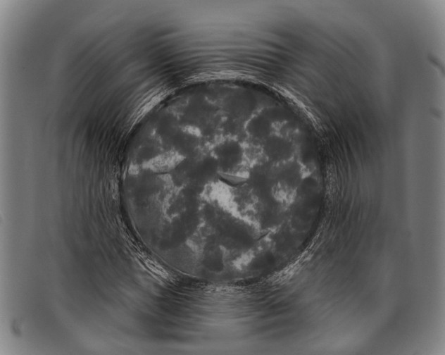 X0000097850921200804041503