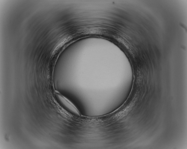 X0000097850922200804041503