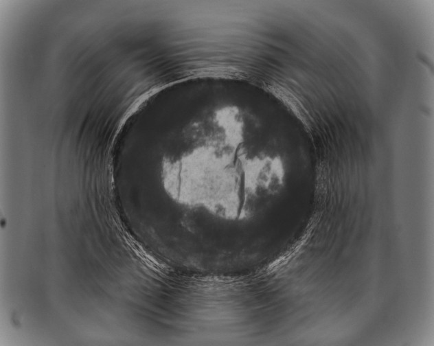 X0000097850923200804041503