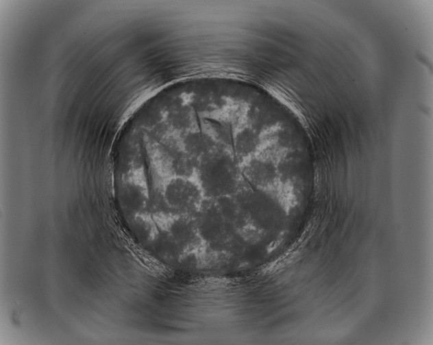 X0000097850925200804041503